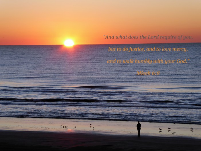 Micah Mandate - Text