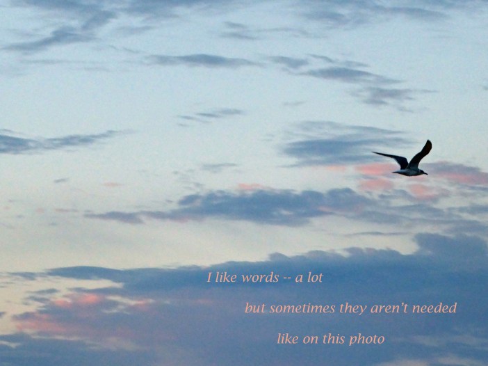 i-like-words-a-lot-text