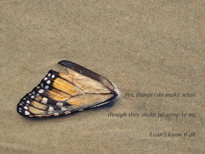 yes-things-can-make-sense-text