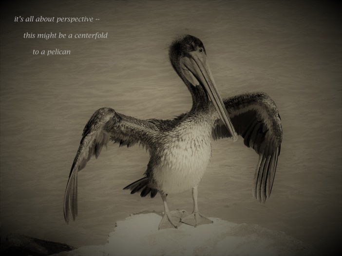 it's all about perspective