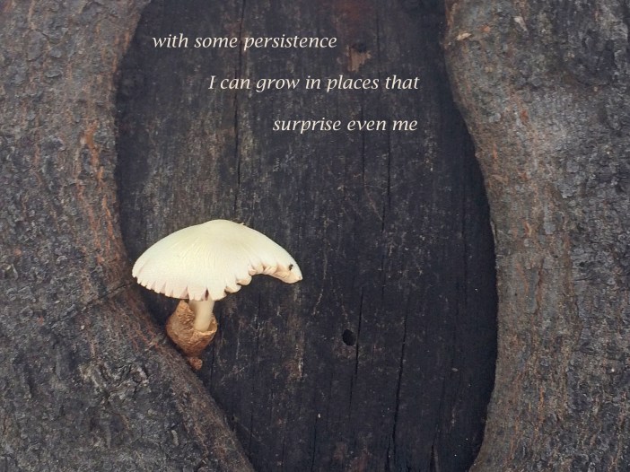 with some persistence