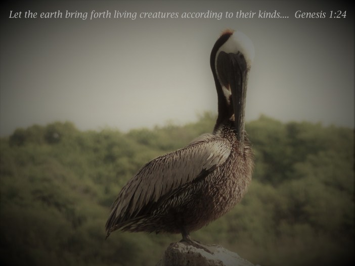 Let the earth bring forth