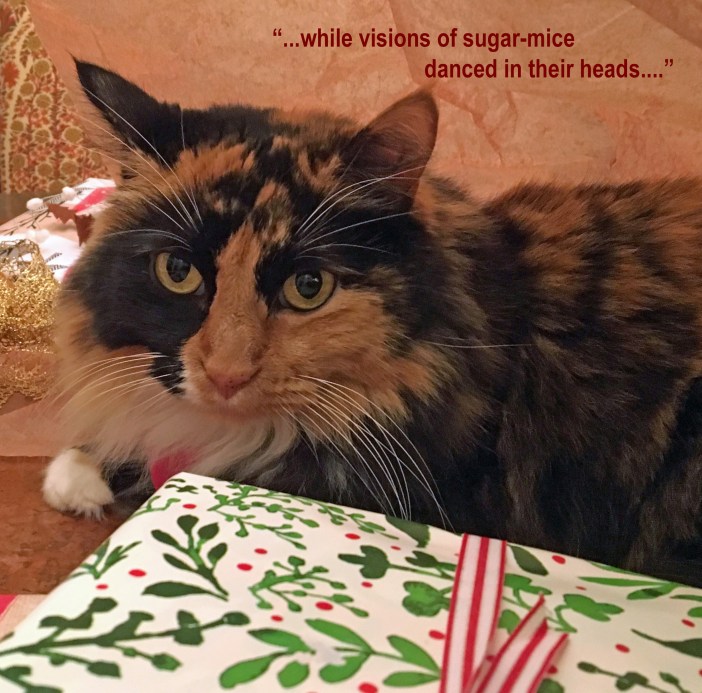 while visions of sugar-mice