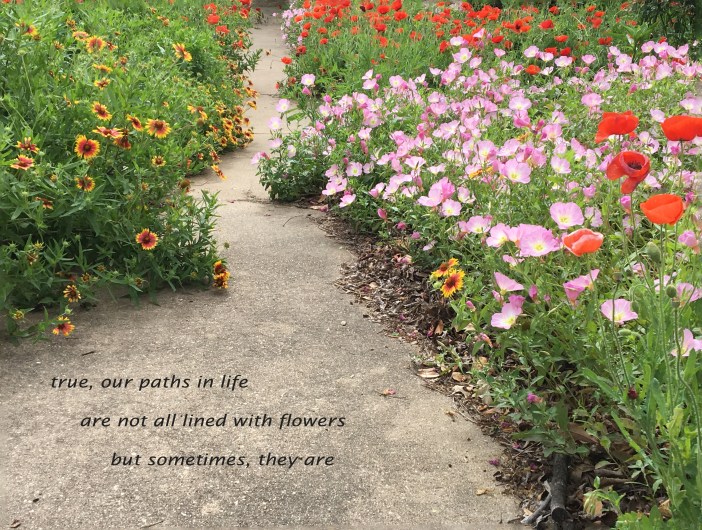 true, our paths in life