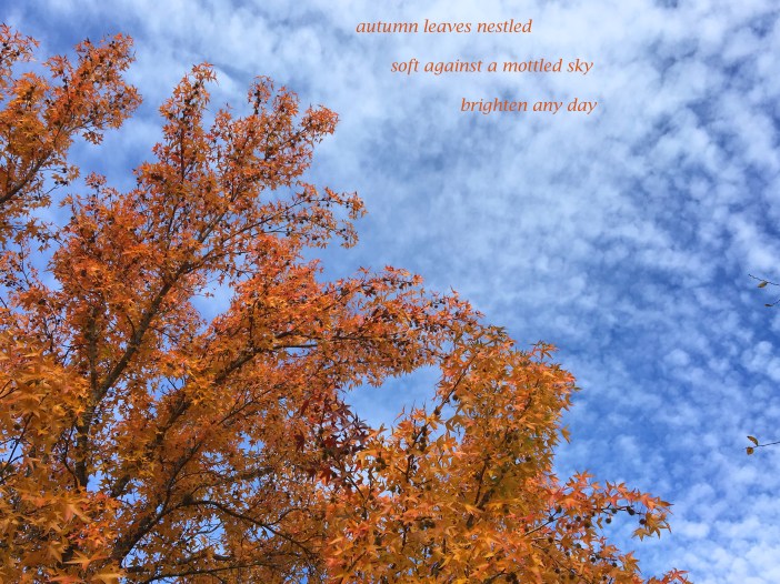 autumn leaves nestled