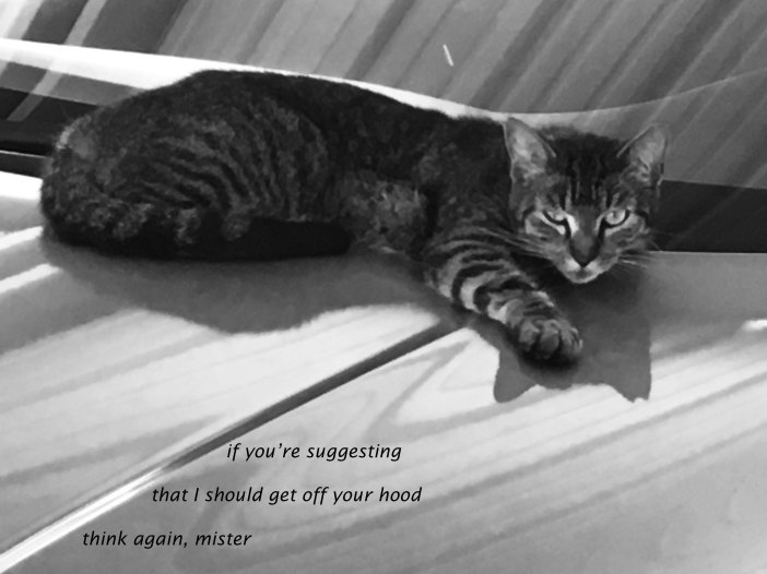 if you're suggesting